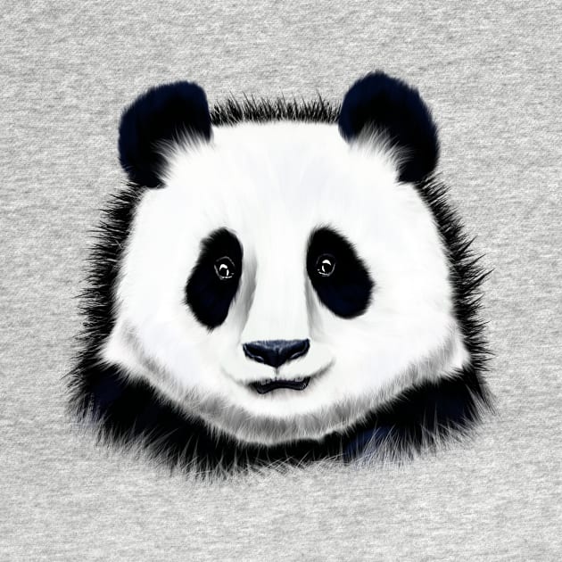 Panda said by Zlat